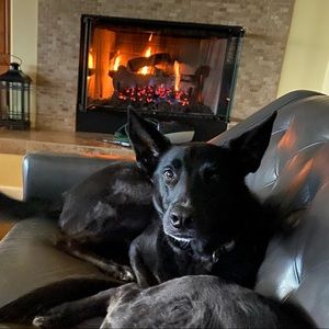 Meet your Posher, Todd